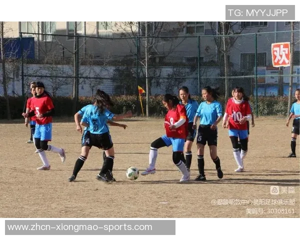 郑州2017足球赛精彩回顾与赛事亮点分析